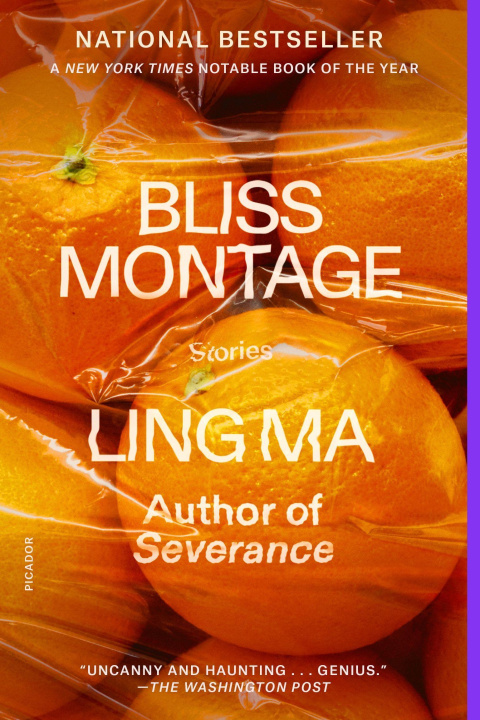 Könyv Bliss Montage: Stories 