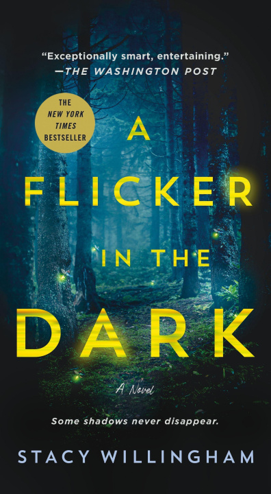 Könyv A Flicker in the Dark 