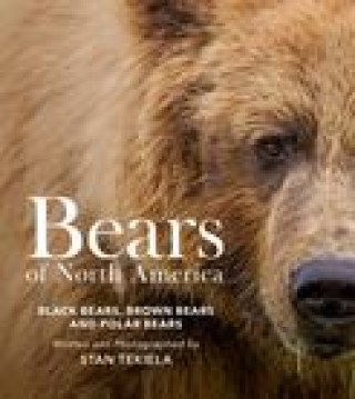 Carte Bears of North America: Black Bears, Brown Bears, and Polar Bears 