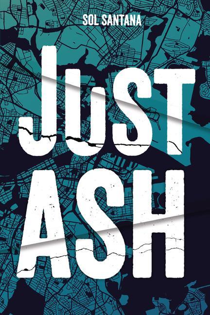 Knjiga Just Ash 