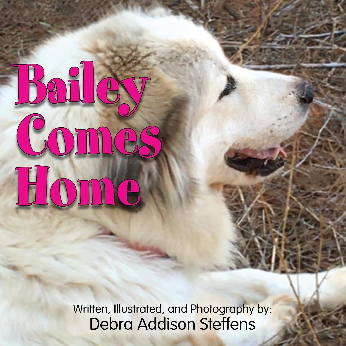 Knjiga Bailey Comes Home Debra Addison Steffens