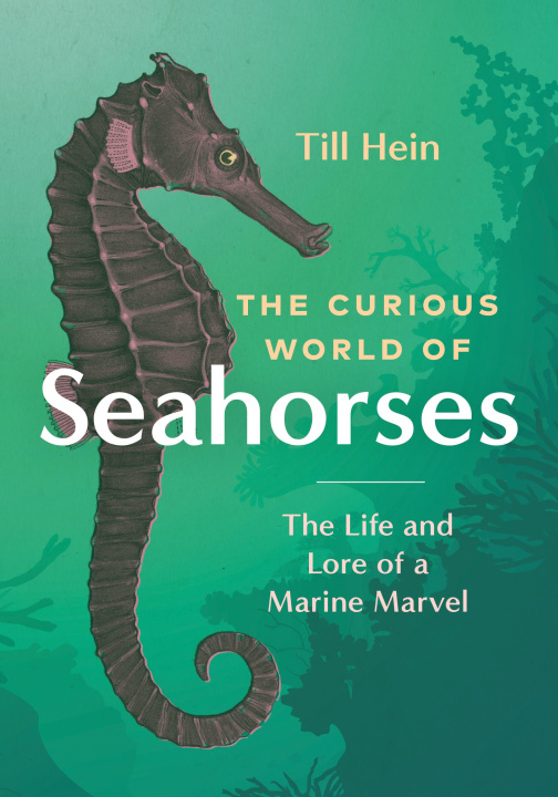 Kniha The Curious World of Seahorses: The Life and Lore of a Marine Marvel 