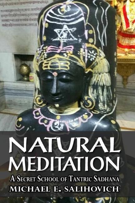 Buch Natural Meditation Michael E Salihovich