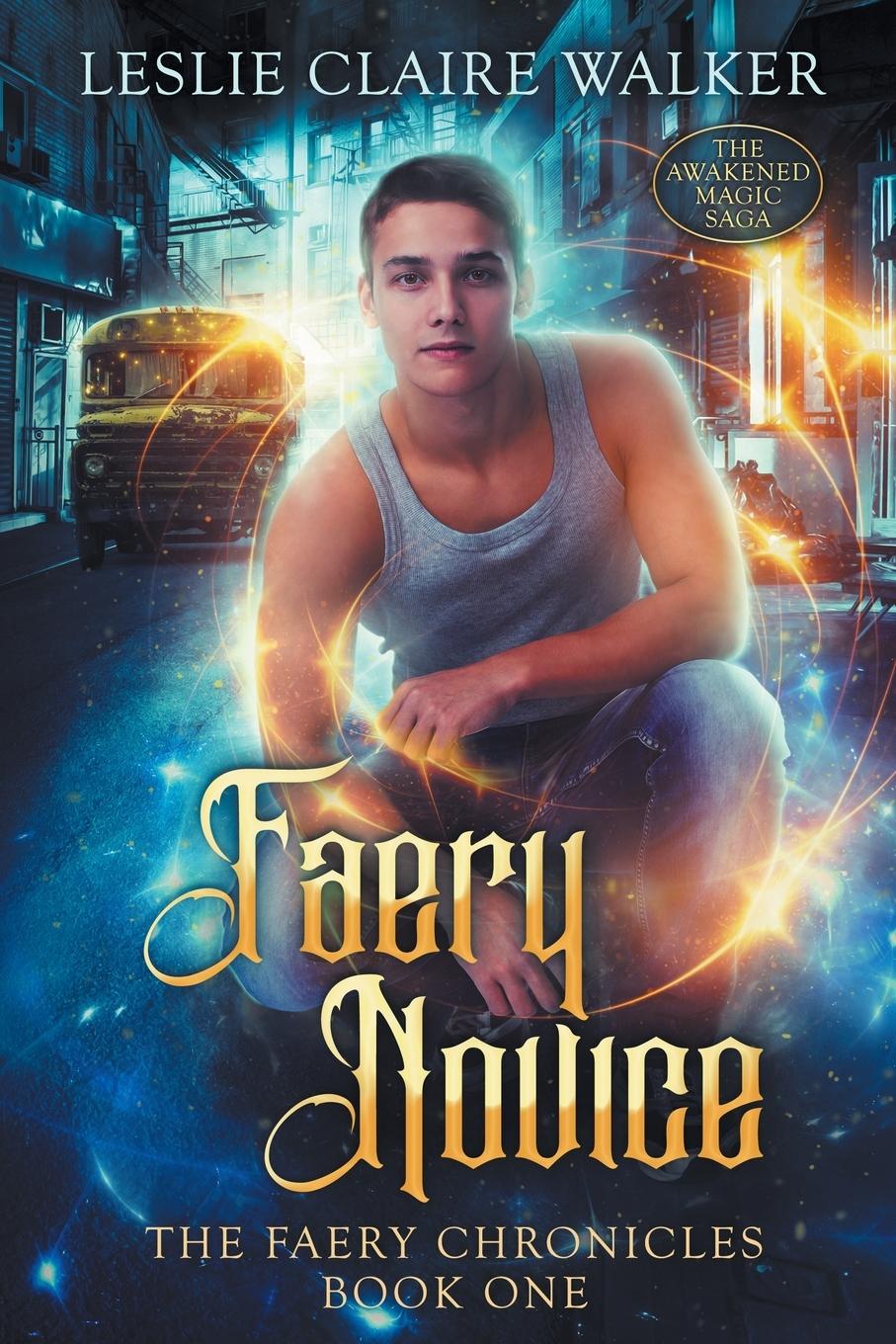 Livro Faery Novice Leslie Claire Walker