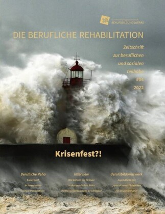 Boek Krisenfest?! BAGBBW e.V