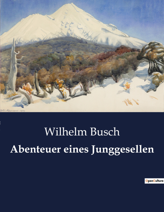 Book Abenteuer eines Junggesellen Busch