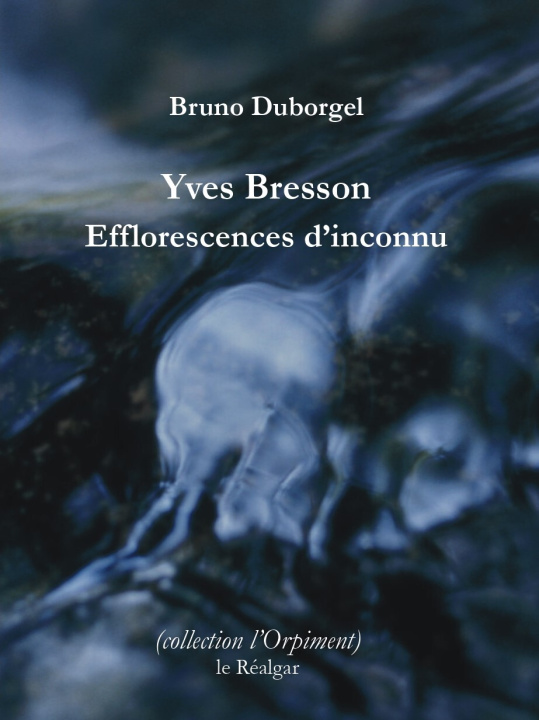 Knjiga Efflorescences d'inconnu Duborgel