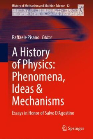 Kniha A History of Physics: Phenomena, Ideas & Mechanisms Raffaele Pisano