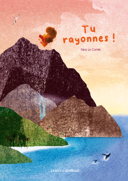 Buch Tu rayonnes LE COMTE