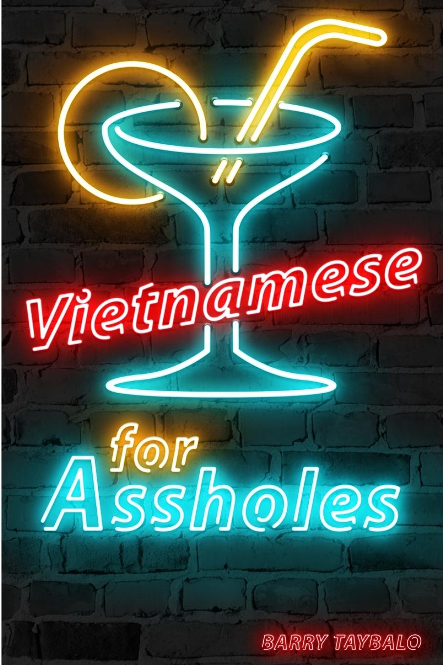 Kniha Vietnamese for Assholes 
