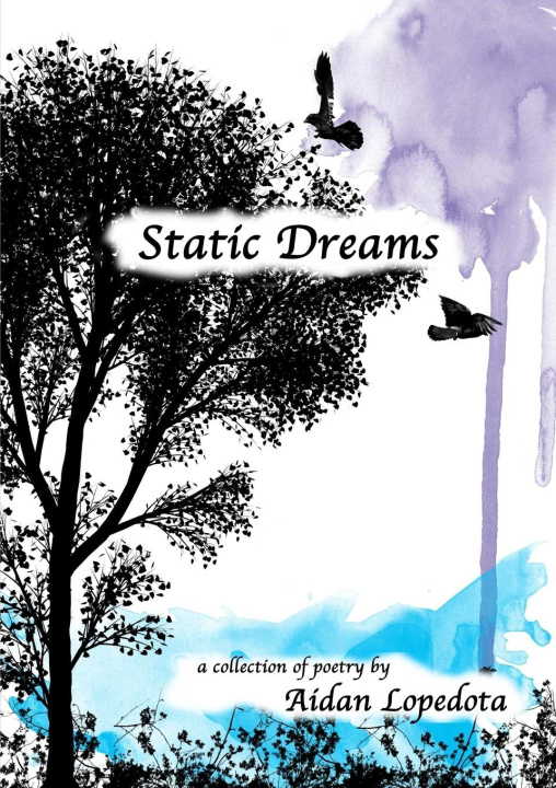 Knjiga Static Dreams Aidan Lopedota