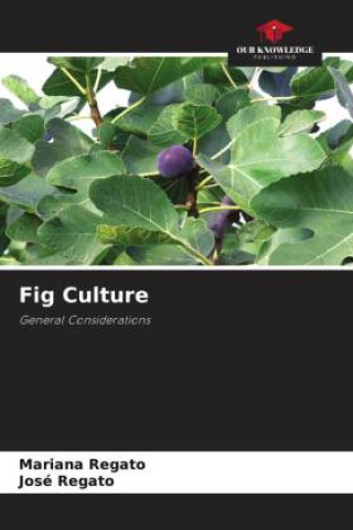 Könyv Fig Culture José Regato