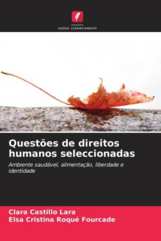 Book Questões de direitos humanos seleccionadas Clara Castillo Lara