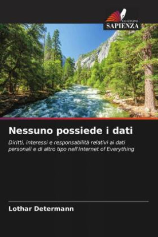 Buch Nessuno possiede i dati Lothar Determann