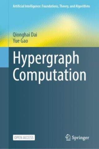 Knjiga Hypergraph Computation Qionghai Dai