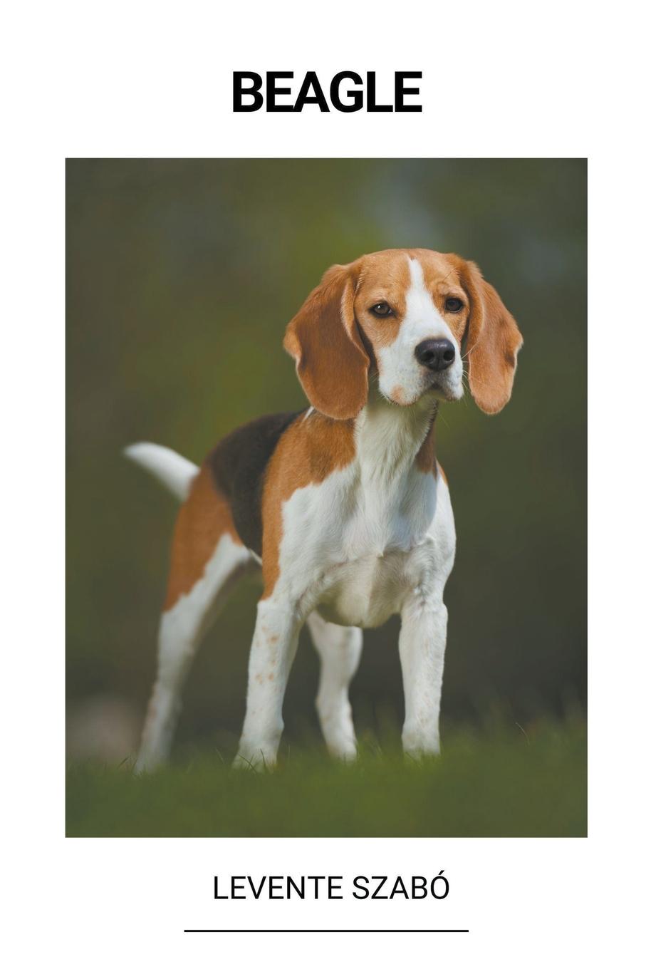 Kniha Beagle 