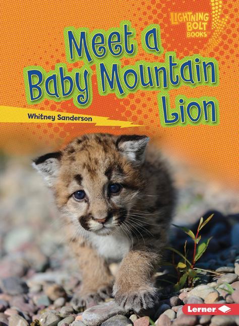 Kniha Meet a Baby Mountain Lion 