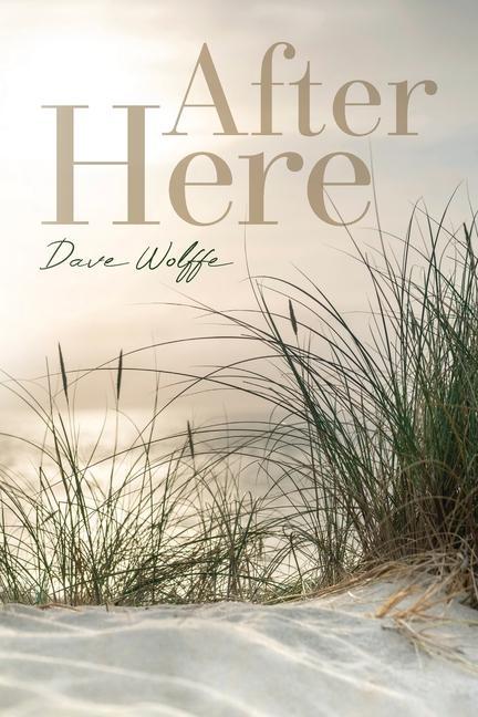 Book After Here Dave Wolffe