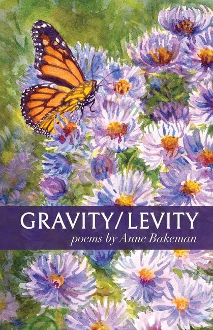Knjiga Gravity/Levity Anne Bakeman