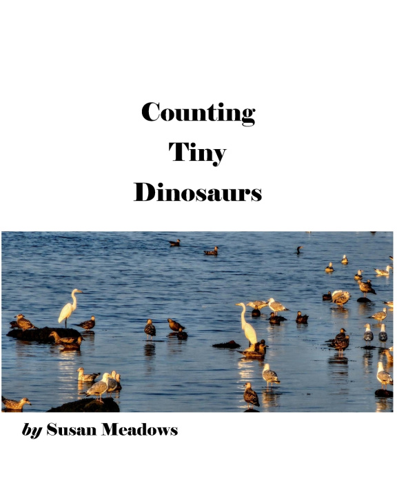 Knjiga Counting Tiny Dinosaurs Michael J. Matheron