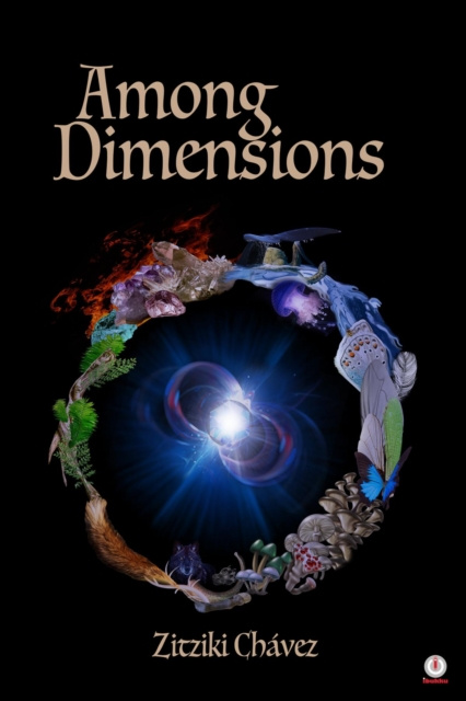 E-knjiga Among Dimensions Zitziki Chavez