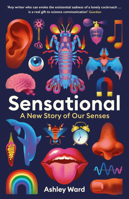 E-book Sensational Ashley Ward