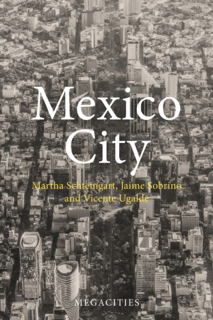 Libro electrónico Mexico City Martha Schteingart