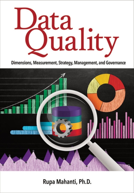 E-knjiga Data Quality Rupa Mahanti