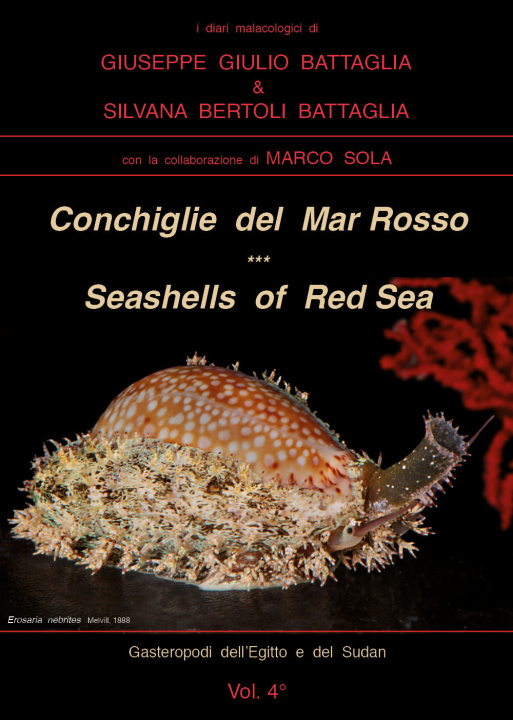 Könyv Conchiglie del Mar Rosso-Red Sea's seashelles Giuseppe Giulio Battaglia