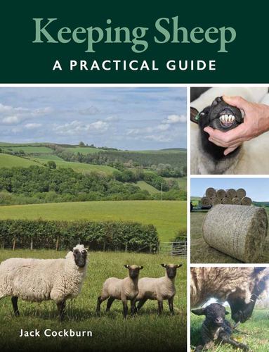 Könyv Keeping Sheep Jack Cockburn