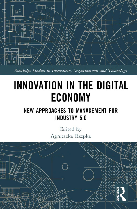 Könyv Innovation in the Digital Economy 