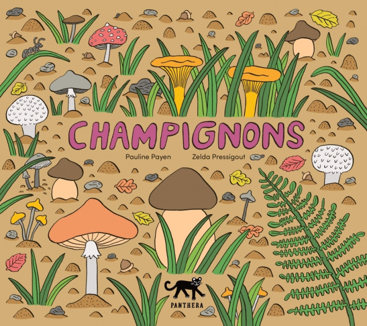 Book Champignons Pauline PAYEN