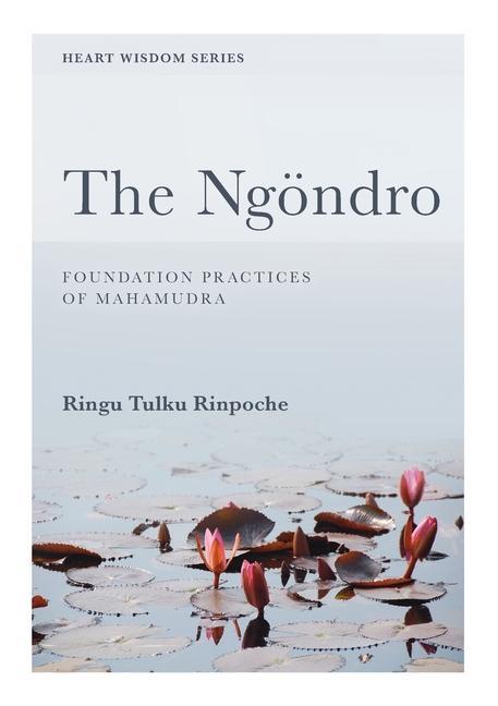 Kniha The Ngöndro: Foundation practices of Mahamudra 