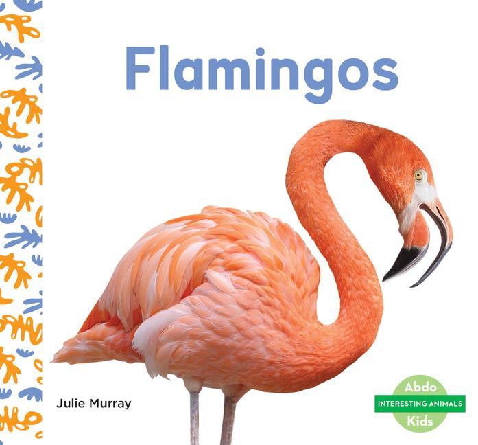Knjiga Flamingos 