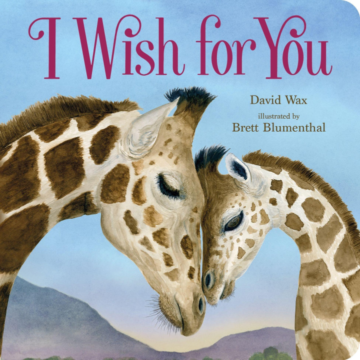 Книга I Wish for You Brett Blumenthal