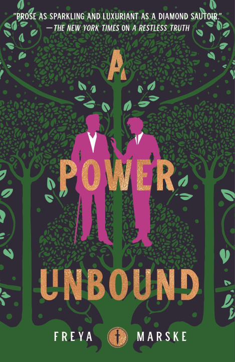 Książka A Power Unbound 