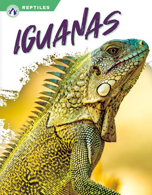 Книга Iguanas 