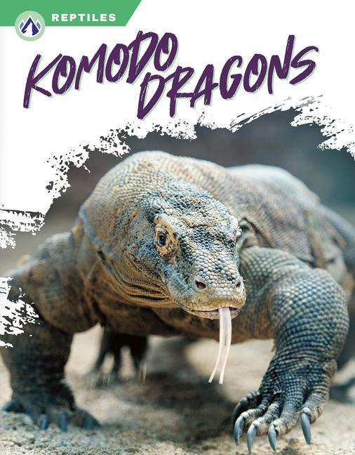 Książka Komodo Dragons Melissa Ross