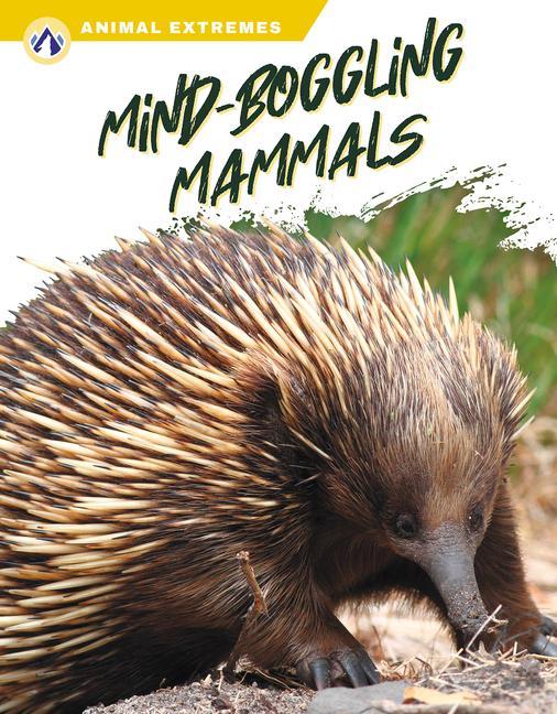 Book Mind-Boggling Mammals Libby Wilson