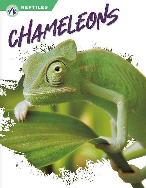 Boek Chameleons Megan Gendell