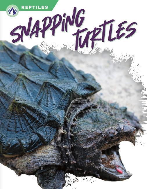 Book Snapping Turtles Shannon Jade