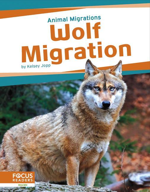 Knjiga Wolf Migration Kelsey Jopp