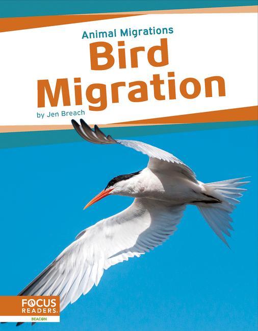 Knjiga Bird Migration Jen Breach