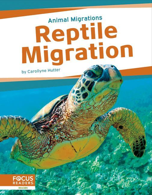 Knjiga Reptile Migration Carollyne Hutter