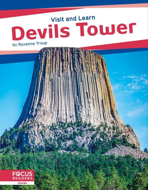 Knjiga Devils Tower Roxanne Troup