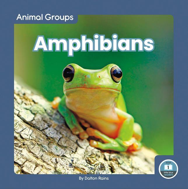 Knjiga Amphibians Dalton Rains