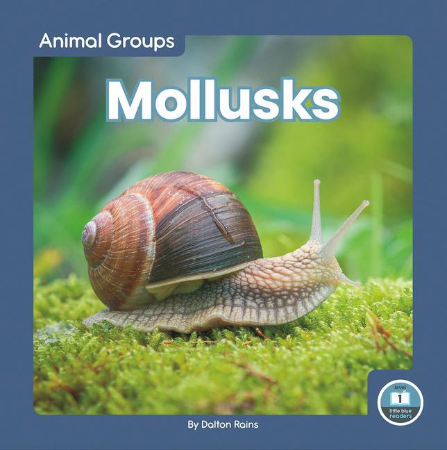 Knjiga Mollusks Dalton Rains
