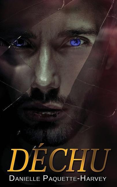 Buch Déchu Jennifer Givner