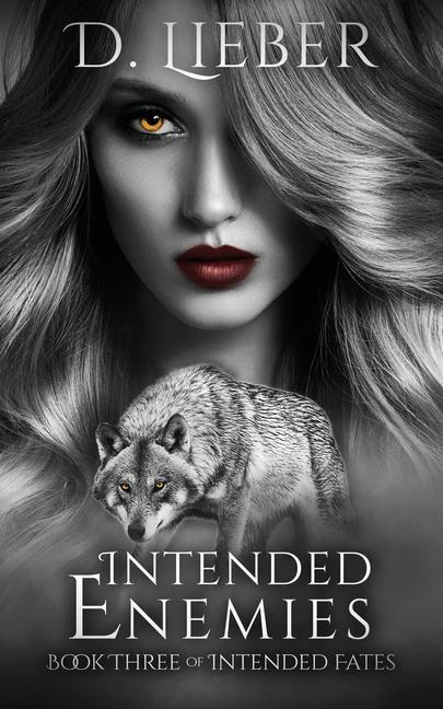Buch Intended Enemies D. Lieber