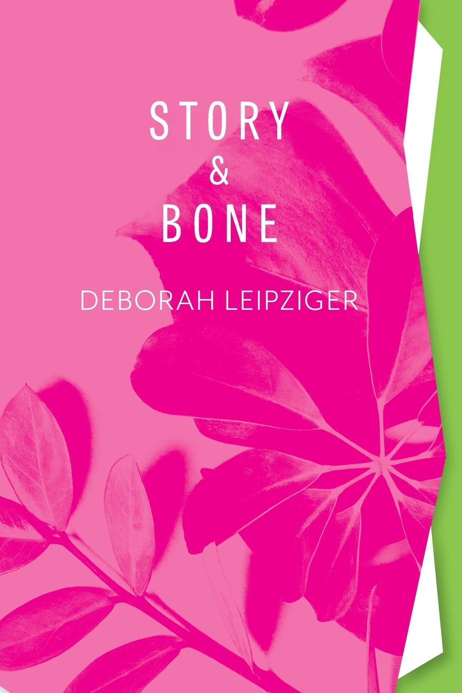 Buch Story & Bone Eileen Cleary